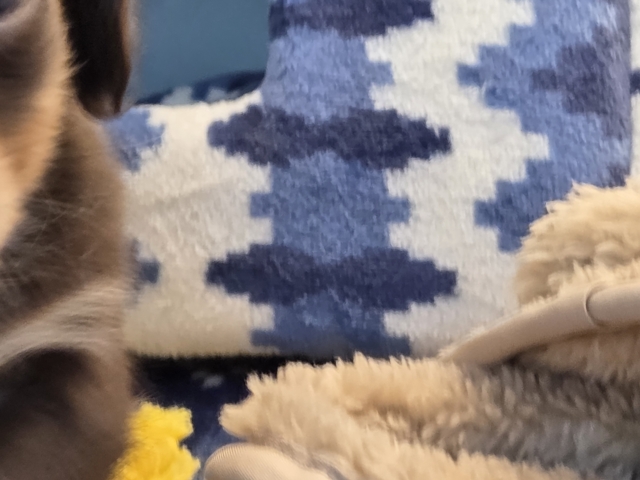チワックス