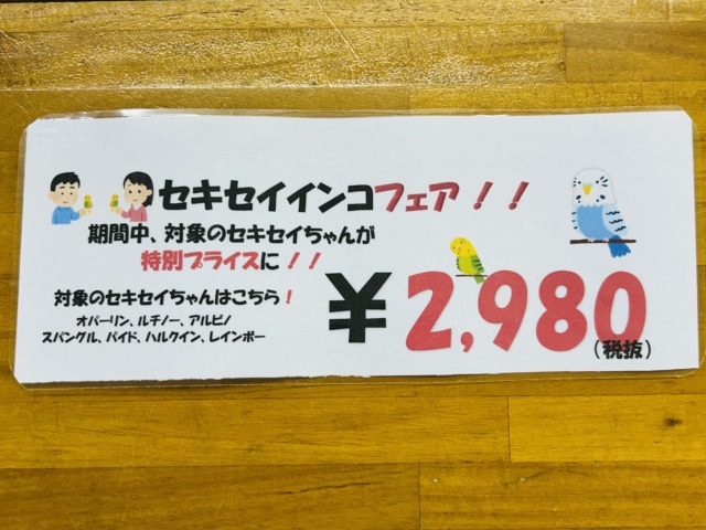 春だ!GWだ! トリさんのお世話をはじめてみませんか?? 説明画像です