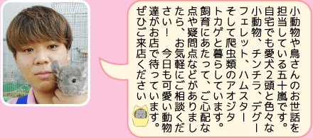 本店の担当者のご紹介