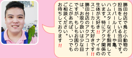 勝田台店の担当者のご紹介