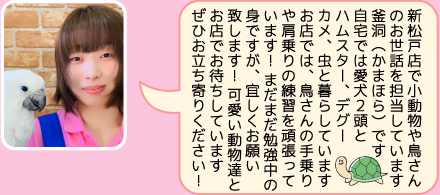 新松戸の担当者のご紹介