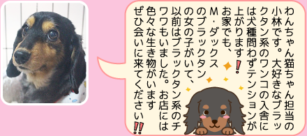 新松戸の担当者のご紹介
