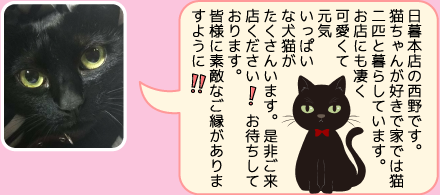 本店の担当者のご紹介