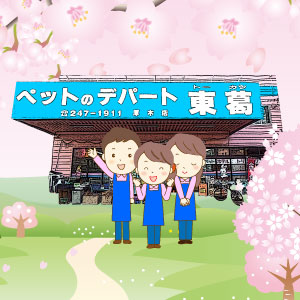 スタッフからのご紹介