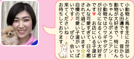 チェリーハウス千葉店のスタッフ｜田邊のご紹介