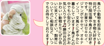 東葛ペット勝田台店のスタッフ｜田代のご紹介