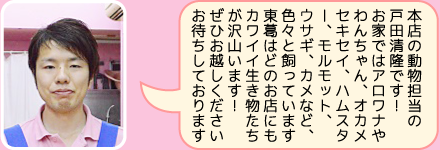 本店の担当者のご紹介