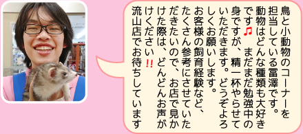 東葛ペット柏店のスタッフ｜冨澤のご紹介