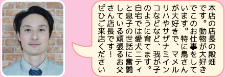 東葛ペット本店の店長｜殿畑のご紹介