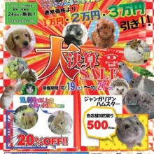 ２０１９年１０月１９日～１０月２７日まで大決算セール！