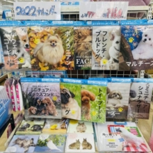 2022年の可愛いカレンダーが来ました〜♥️