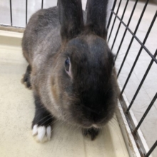 なかなかどっしりとした性格　9/１０撮影