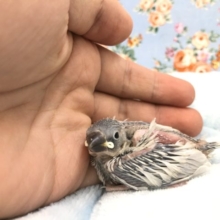 お久しぶりです　9/１５撮影