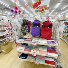 とっても可愛い洋服販売中〜！IDOG&ICAT♥️