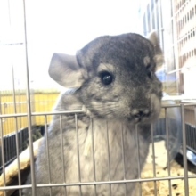 グイグイきます！！　　１１／１０撮影