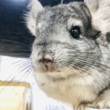 カキカキはまだなんですけども～　R４　９／２６撮影