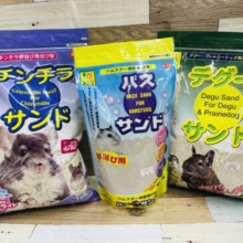 キラッと☆砂浴びフェアー開催中‼︎