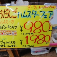 おだんごハムスターフェア〜♡