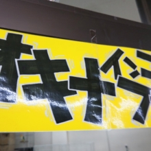 愛嬌たっぷり🩷オキナインコさんフェア～🎉
