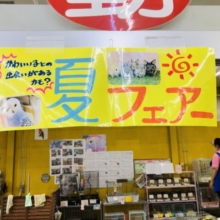 今月限定フェア情報いっきにお知らせ！