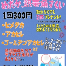 サマーフェスタ！めだか.熱帯魚すくいやってるよー！