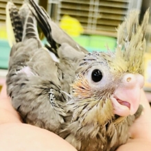 いや～～このカラーがいいんですよ！！