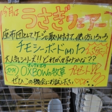うざきフェア〜開催中❤