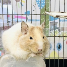 【最新画像更新☆☆　ここが一番落ち着くな～】正面から見ると球体？？　
