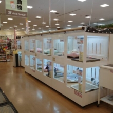 新店舗！　ペッツクラブ　チェリーハウス☆　千葉店　オープン～！