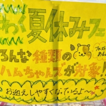 夏が来た⁉︎ハムスターフェア☆