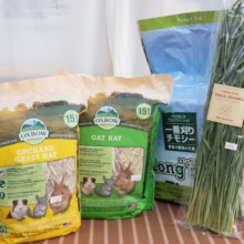 今月も開催！ 牧草をいっぱい食べよう～🌿 草食動物フェアー🎉