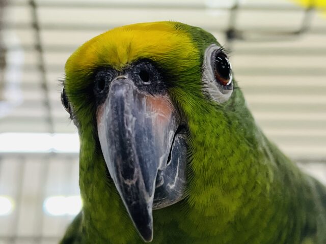 8月限定！割引くじやってますよ！