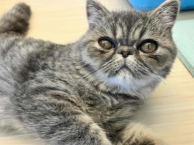 おっとりのっそり癒し系♥♥♥エキゾチック入舎！