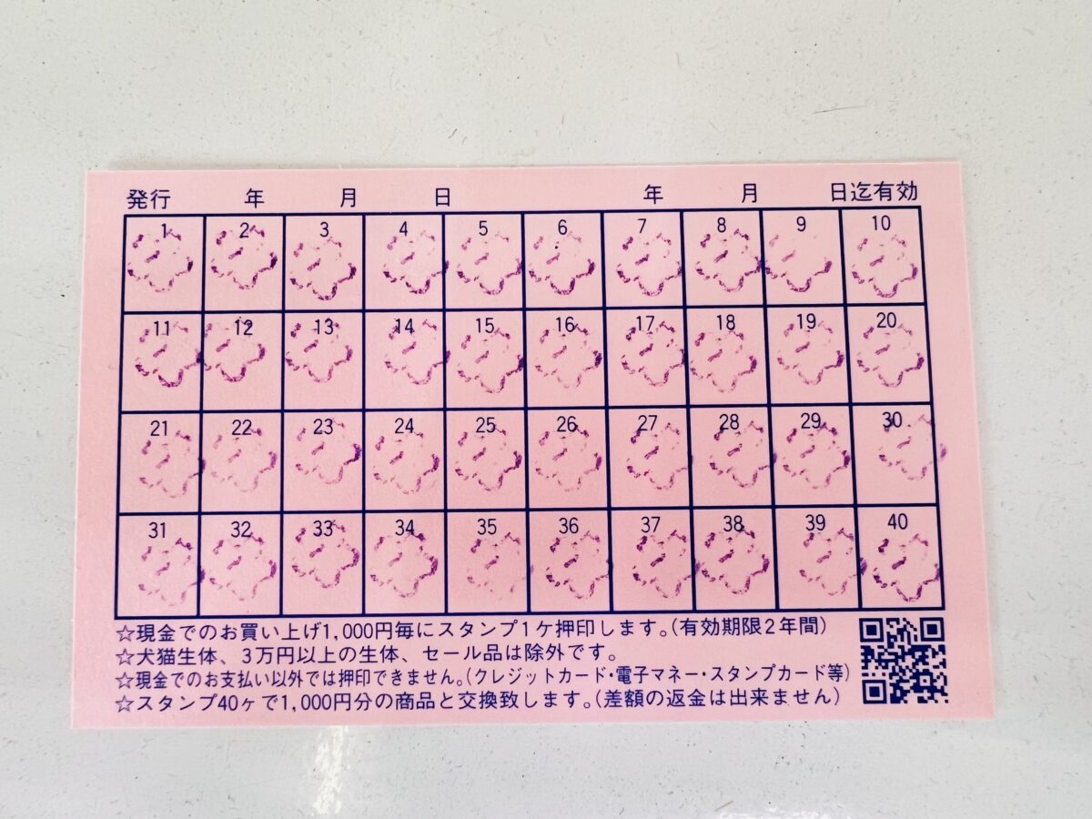 ポイントGET🩷セキセイインコフェア始まりました〜! 説明画像です