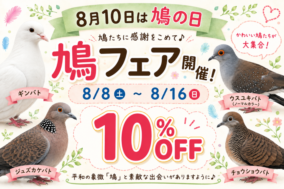 二和店ならでは‼︎8.10の日だよ🕊️鳩フェア開催中! 二和店ならでは‼︎8.10の日だよ🕊️鳩フェア開催中!