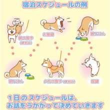 厚木店｜ペットホテルのご案内